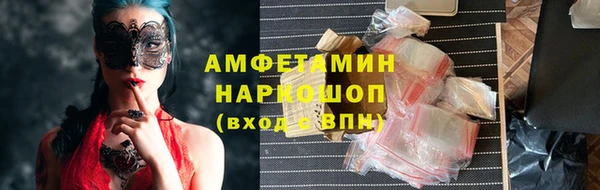 индика Белокуриха