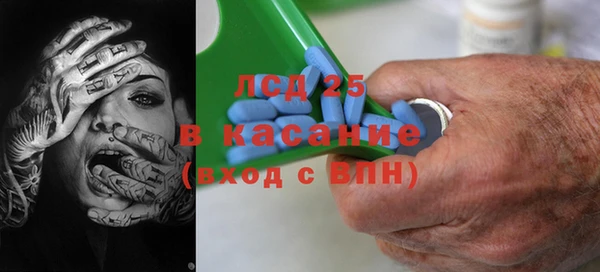 индика Белокуриха