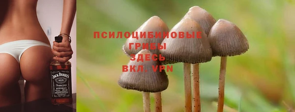 таблы Белоозёрский