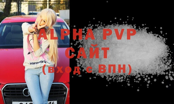 индика Белокуриха