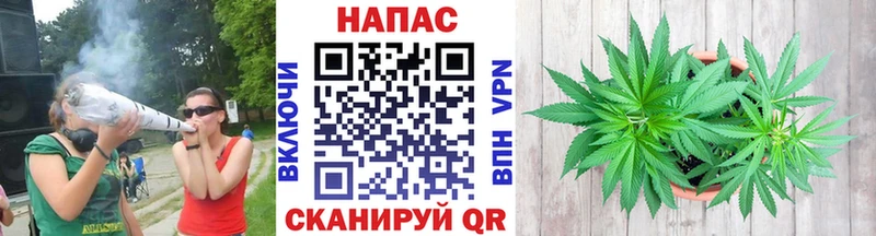 хочу наркоту  blacksprut рабочий сайт  Каннабис планчик  Калининец 